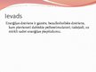 Prezentācija 'Enerģijas dzērieni', 2.