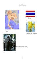 Referāts 'Taizeme', 10.