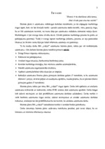 Biznesa plāns 'SIA "I-deja"', 10.