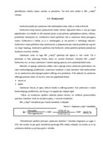 Biznesa plāns 'SIA "I-deja"', 16.