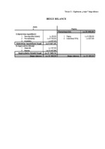 Biznesa plāns 'SIA "I-deja"', 25.