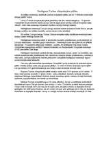 Konspekts 'Turīnas 2006.gada olimpiskās spēles', 6.