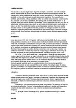 Konspekts 'Viduslaiku kultūras periodizācija un raksturojums', 3.