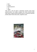 Referāts 'Medicīniskie atkritumi', 7.