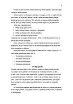 Konspekts 'Cilvēka izcelšanās vēsture', 8.