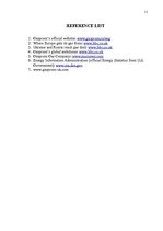 Referāts 'Russian Gas', 11.