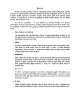 Paraugs 'Spēles starpkultūru izglītībā', 2.