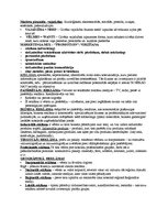 Konspekts 'Reklāma', 1.