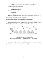 Paraugs 'Kravas pacelšanas mehānismu projektēšanas aprēķins', 9.