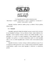 Paraugs 'Kravas pacelšanas mehānismu projektēšanas aprēķins', 10.