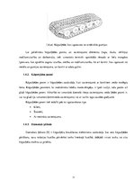 Paraugs 'Kravas pacelšanas mehānismu projektēšanas aprēķins', 11.