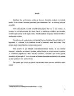 Referāts 'Feminisma ietekme uz 20.gadsimta politikas teoriju', 3.