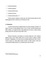 Referāts 'Feminisma ietekme uz 20.gadsimta politikas teoriju', 10.