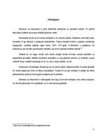 Referāts 'Feminisma ietekme uz 20.gadsimta politikas teoriju', 11.
