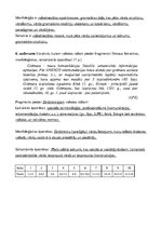 Konspekts 'Valodas stili', 2.