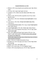 Referāts 'Aģentūras "LETA" dibināšana un attīstība 20.gadsimta divdesmito gadu sākumā', 14.