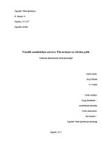 Referāts 'Vizuālā zemsliekšņa uztvere', 1.