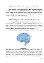 Referāts 'Vizuālā zemsliekšņa uztvere', 10.