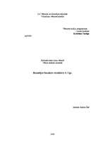 Referāts 'Bizantijas baznīcas struktūra 4.- 5.gs.', 1.