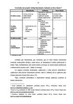 Diplomdarbs 'AS "Hansabanka" kredītdarījumi un tās vieta kredītu tirgū', 40.