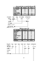 Referāts 'Ēdināšanas uzņēmuma ēdienkartes sastādīšana', 20.