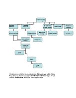 Prezentācija 'Organizācijas struktūras attīstība', 2.