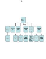 Prezentācija 'Organizācijas struktūras attīstība', 4.