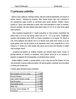 Biznesa plāns 'SIA "Naudas maiss"', 6.