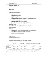 Biznesa plāns 'SIA "Naudas maiss"', 9.