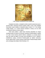 Referāts 'Āfrikas Nacionālie parki', 8.