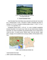 Referāts 'Āfrikas Nacionālie parki', 13.