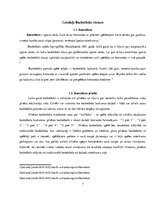 Biznesa plāns 'Basketbola laukuma izveidošanas izmaksas daudzstāvu māju pagalmos', 7.