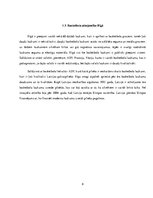 Biznesa plāns 'Basketbola laukuma izveidošanas izmaksas daudzstāvu māju pagalmos', 8.