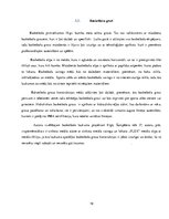 Biznesa plāns 'Basketbola laukuma izveidošanas izmaksas daudzstāvu māju pagalmos', 19.