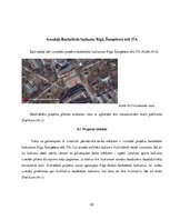 Biznesa plāns 'Basketbola laukuma izveidošanas izmaksas daudzstāvu māju pagalmos', 20.