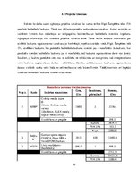 Biznesa plāns 'Basketbola laukuma izveidošanas izmaksas daudzstāvu māju pagalmos', 22.