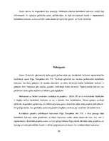 Biznesa plāns 'Basketbola laukuma izveidošanas izmaksas daudzstāvu māju pagalmos', 26.