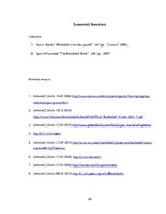 Biznesa plāns 'Basketbola laukuma izveidošanas izmaksas daudzstāvu māju pagalmos', 29.