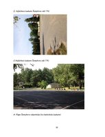 Biznesa plāns 'Basketbola laukuma izveidošanas izmaksas daudzstāvu māju pagalmos', 32.