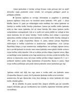 Referāts 'Īpašuma iegūšana ar piegūšanu', 11.