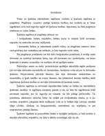 Referāts 'Īpašuma iegūšana ar piegūšanu', 20.