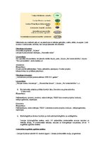 Konspekts 'Eksāmena atbildes kultūrpolitikā', 5.