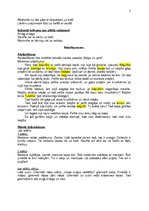 Referāts 'Bērna runas diagnostika pirmsskolā', 5.