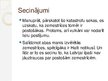 Prezentācija 'Zemestrīces un vulkānu izvirdumi 21.gadsimtā', 21.