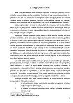 Referāts 'Analoģijas jēdziens. Tiesībās pielietojamo analoģiju veidi', 5.