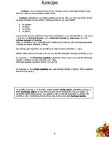 Konspekts '9.klases algebras tēmu kopsavilkums', 4.