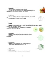 Konspekts '9.klases algebras tēmu kopsavilkums', 24.