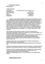 Referāts 'SIA Lattelekom', 3.