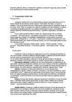 Referāts 'SIA Lattelekom', 6.