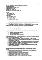 Referāts 'SIA Lattelekom', 10.